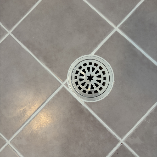 Shower base drain inspected for leaking shower base